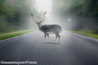  — © Symbolbild