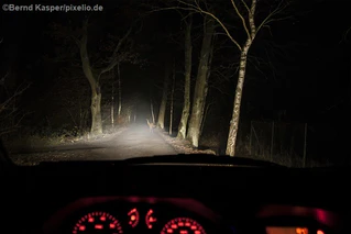 — © Symbolbild