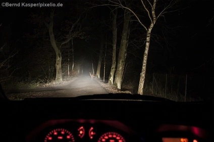 — © Symbolbild
