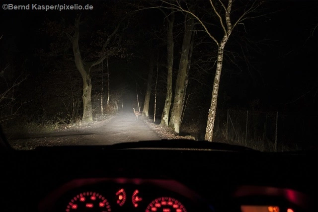 — © Symbolbild