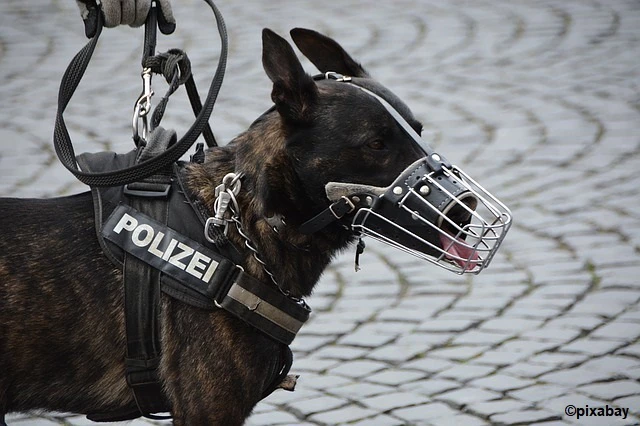 — © Symbolbild