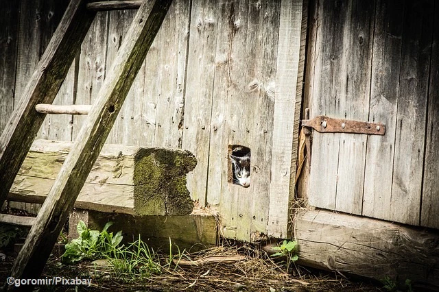 — © Symbolbild