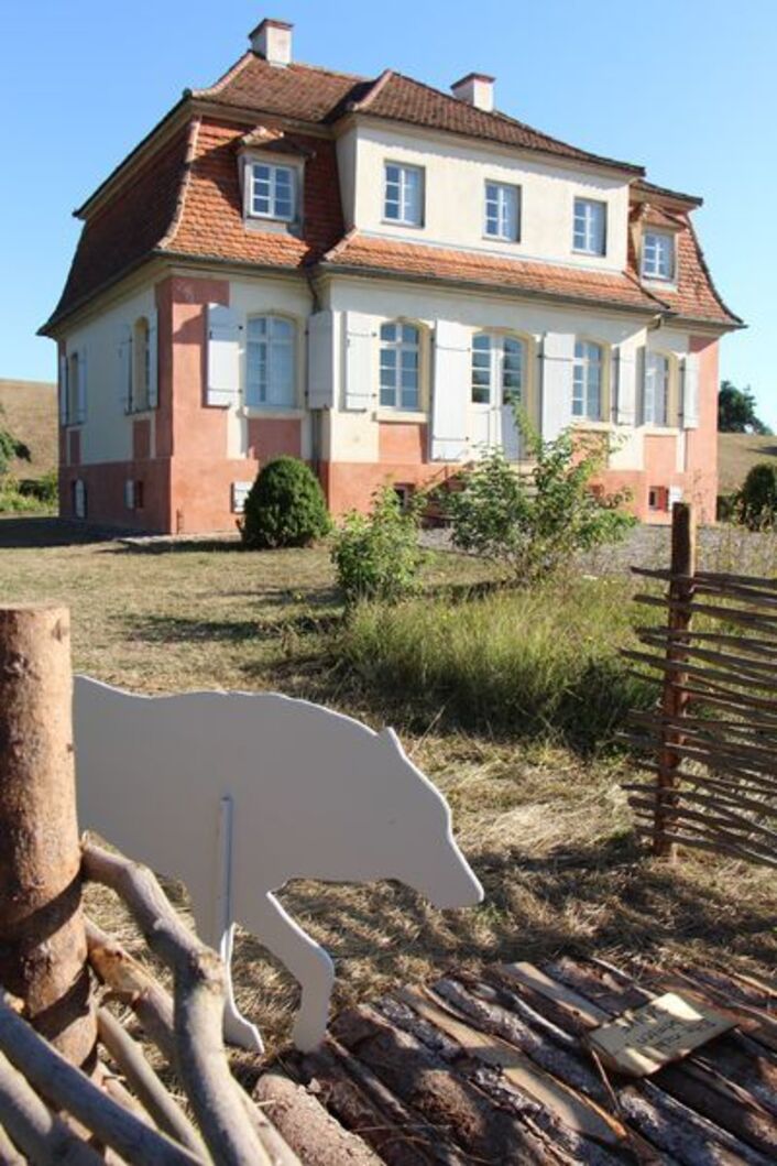 Bad Windsheim | Adventsstimmung im Freilandmuseum | Radio 8