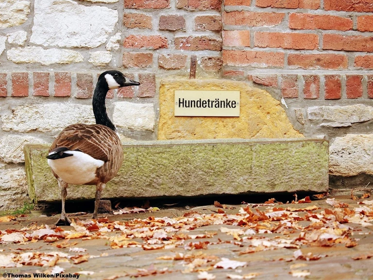 — © Symbolbild