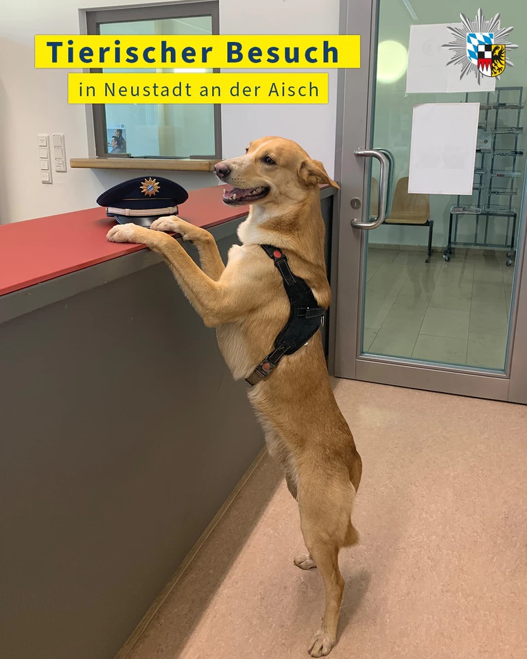 — © Facebook Polizei Mittelfranken