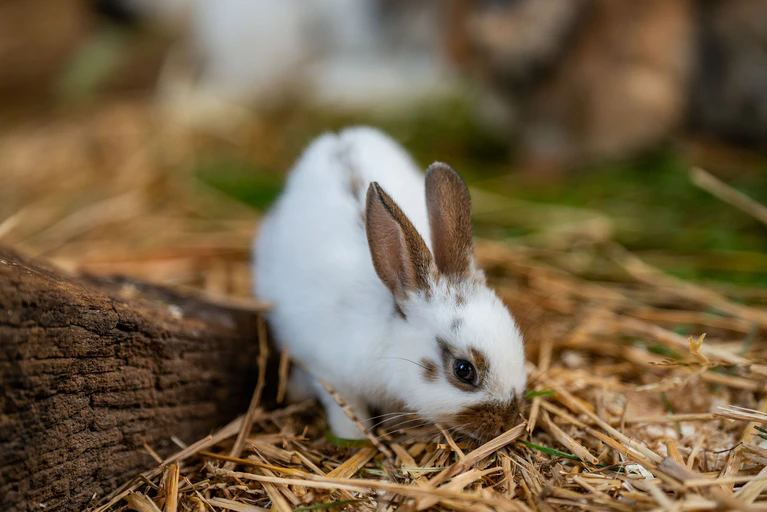  — © ©TGN/TomBurger