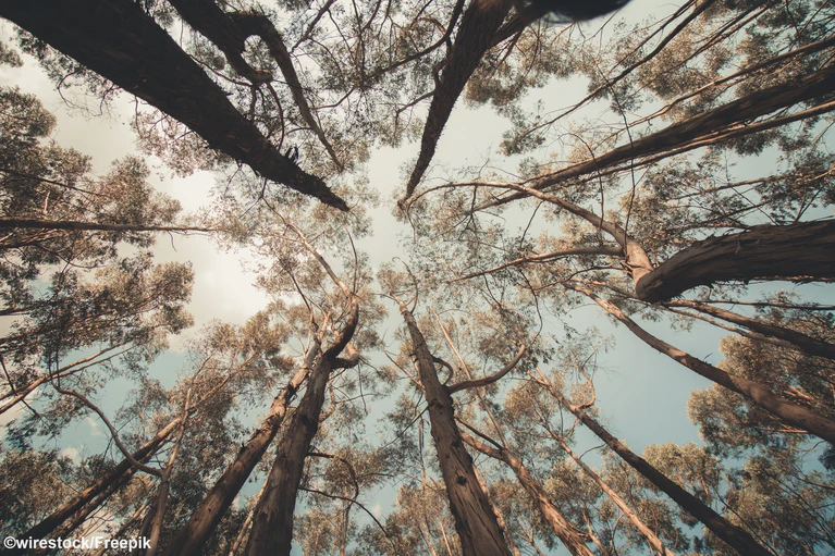 — © Symbolbild