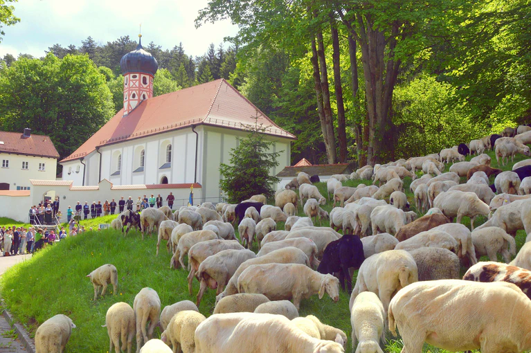  — © ©Markt Mörnsheim/Richard Mittl