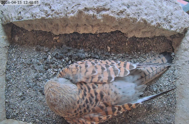  — © Quelle: luitpoldschule-ansbach.de