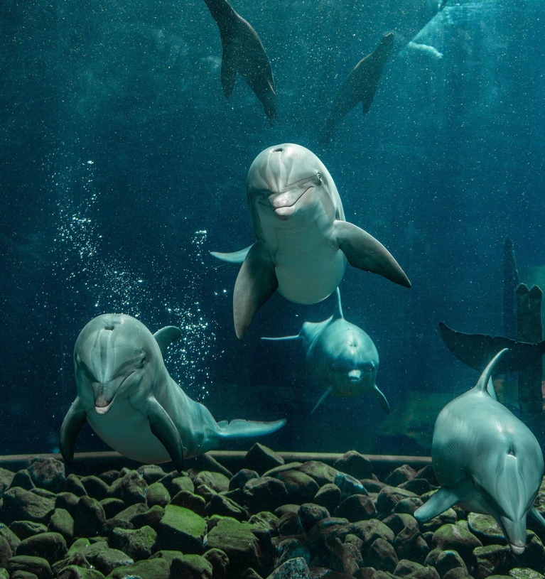  — © ©Tom Burger/TGN