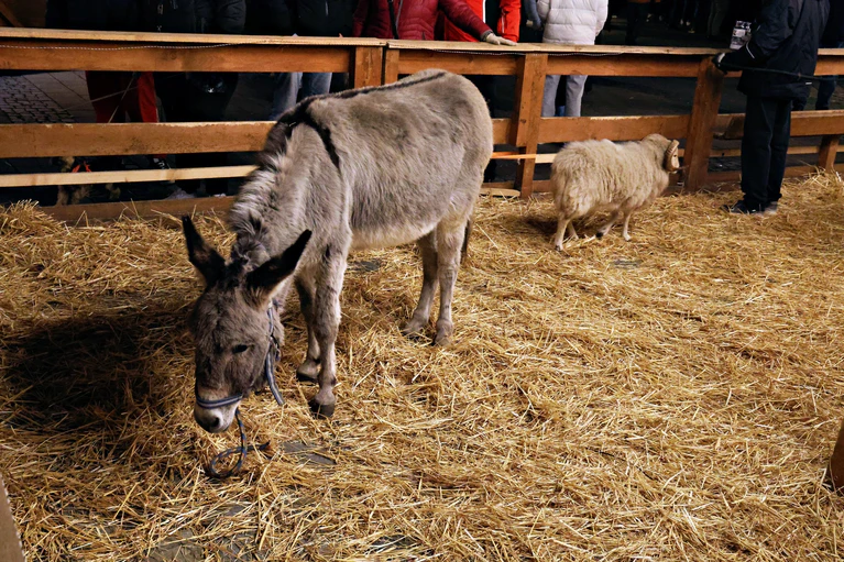 — © Weihnachtsmarkt Ansbach/©Zeynel Dönmez