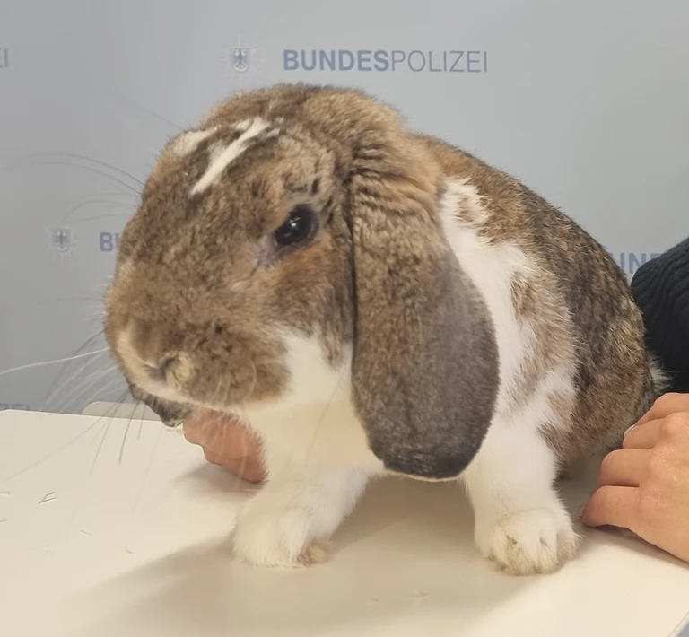 — © ©Bundespolizei