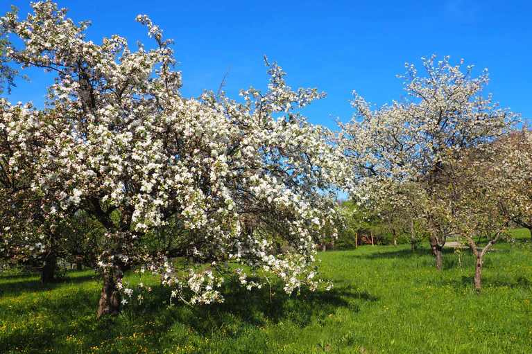  — © ©Franziska Wenger