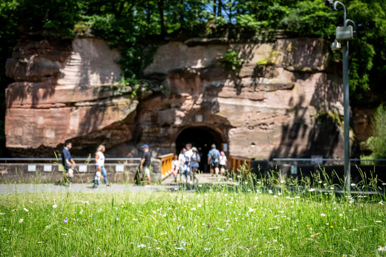  — © © Thomas Hahn / Tiergarten Nürnberg