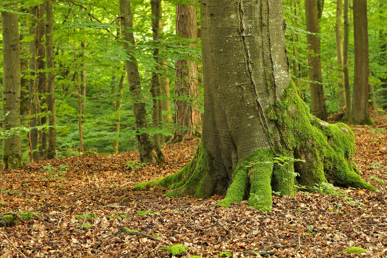  — © ©Naturpark Steigerwald