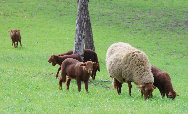  — © ©Christine Berger