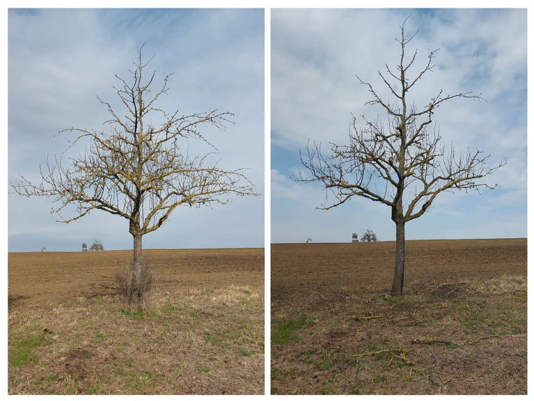  — © © Anna Rühl, Landschaftspflegeverband