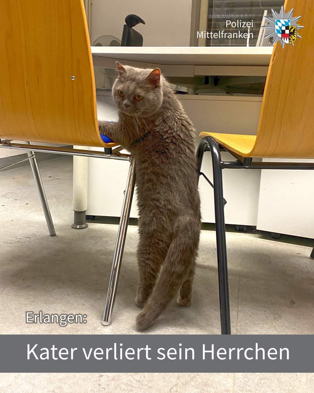 © Polizei Mittelfranken