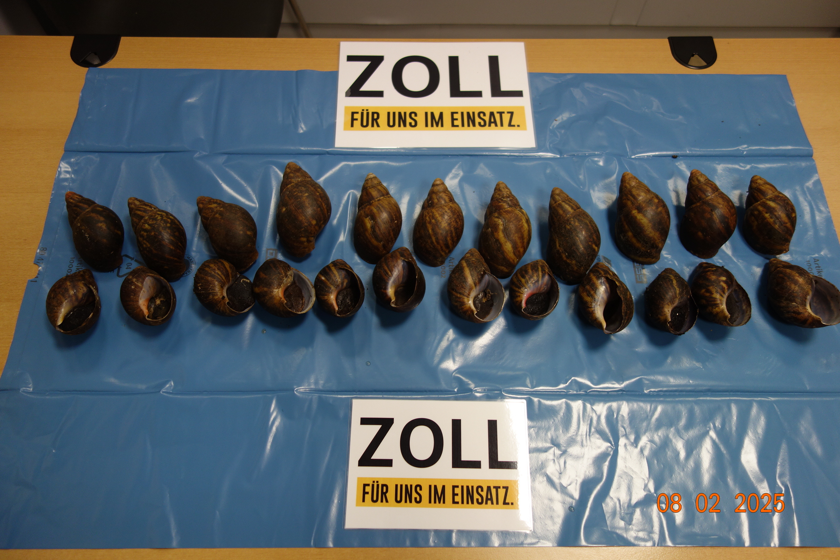 © Zoll