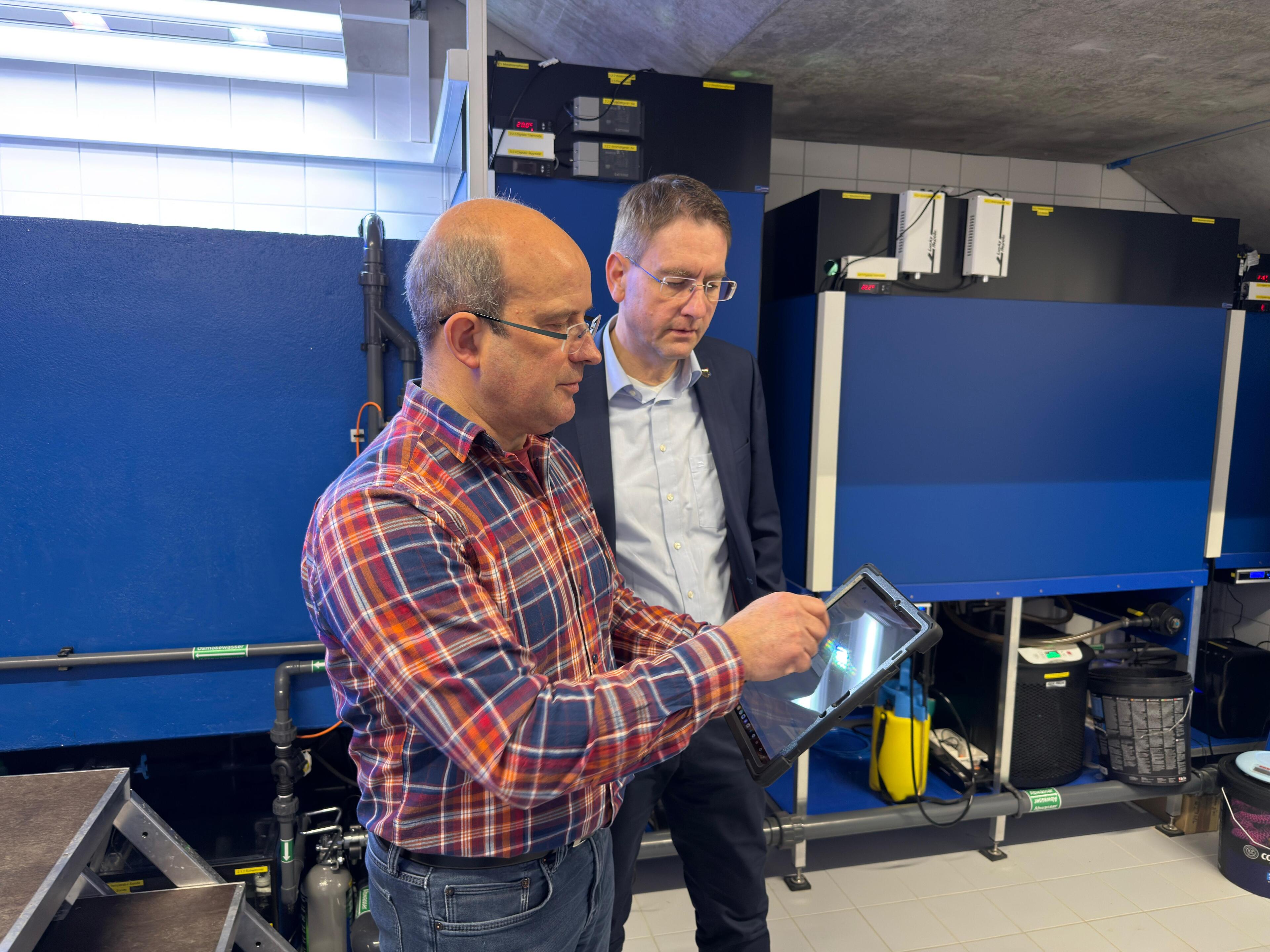 &copy; &copy;Finn Hornung