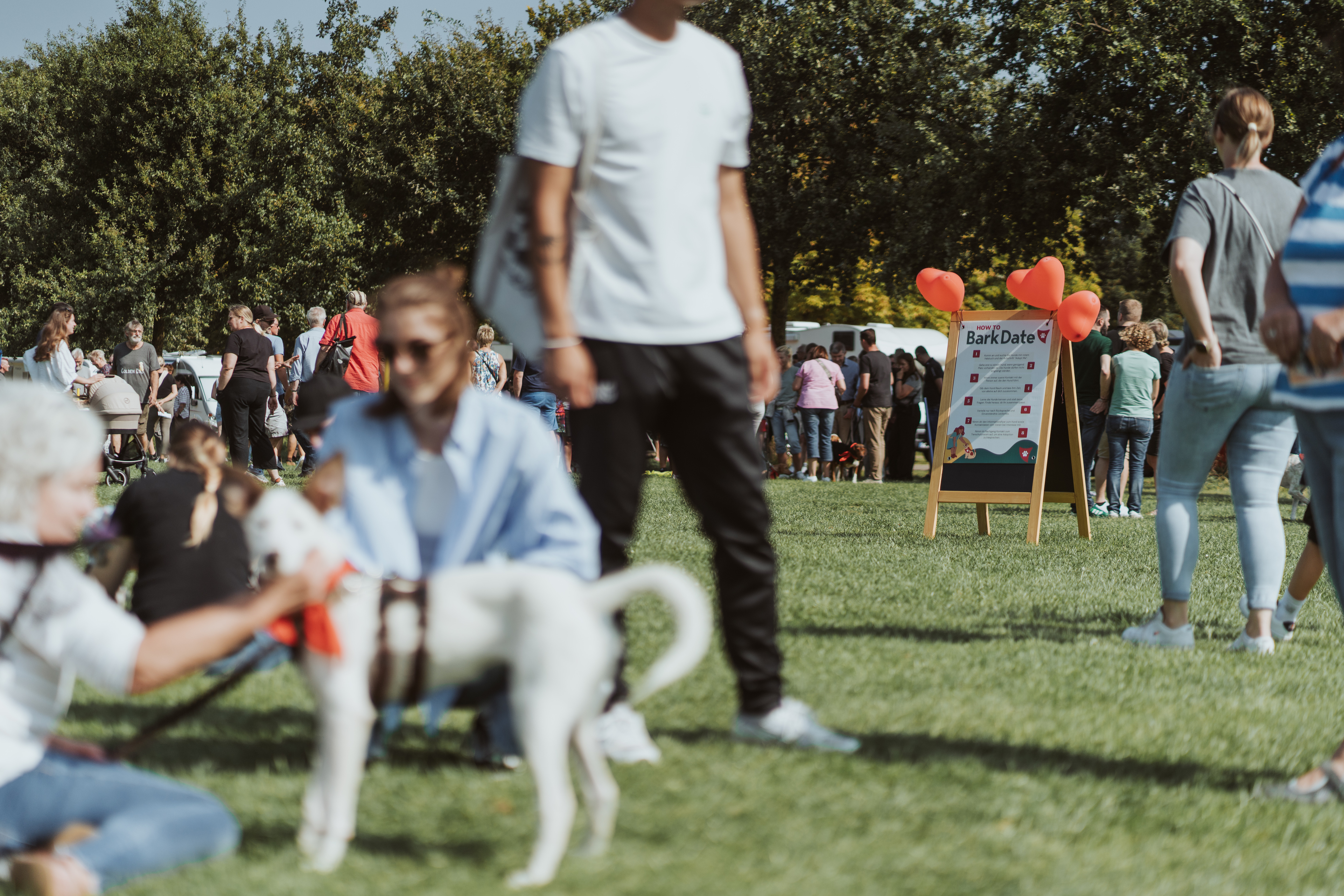 © ©barkdate.com